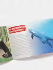 Обучающие книги "Про всё на свете" (Окружающий мир)