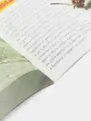 Обучающие книги "Про всё на свете" (Окружающий мир)
