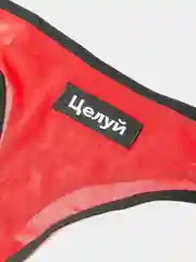Трусы "Целуй", "Снимай", "Кусай", "Греши", "Люби"