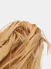 Мочалка лыко