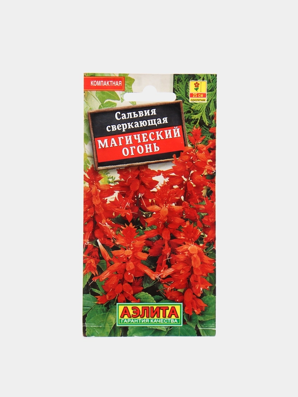 Семена Сальвия сверкающая "Магический огонь"