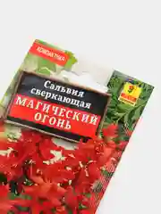 Семена Сальвия сверкающая "Магический огонь"
