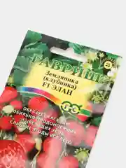 Семена Клубника "Элан"