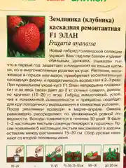 Семена Клубника "Элан"