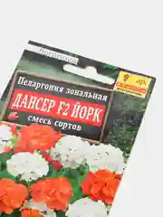 Пеларгония зональная "Дансер F2 Йорк", смесь, семена