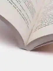Вино из одуванчиков, Рэй Брэдбери
