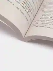 Вино из одуванчиков, Рэй Брэдбери