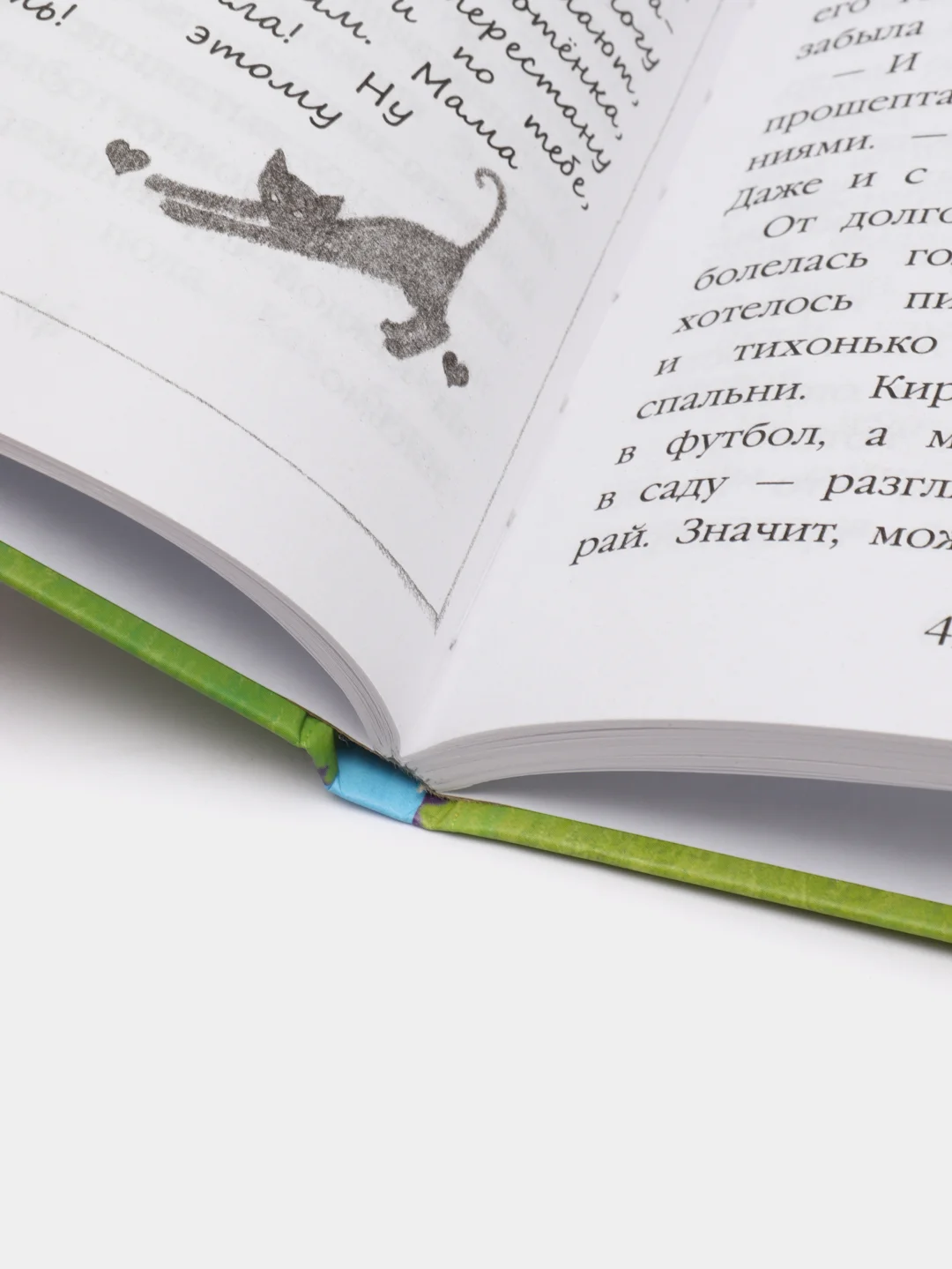 Котёнок Фиалка, или Коробка с сюрпризом, выпуск 9, Холли Вебб