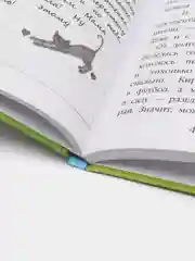 Котёнок Фиалка, или Коробка с сюрпризом, выпуск 9, Холли Вебб