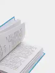 Котёнок Фиалка, или Коробка с сюрпризом, выпуск 9, Холли Вебб