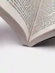 Вечеринка в Хэллоуин, Агата Кристи