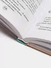 Попутчица. Рассказы о жизни, которые согревают, Ольга Савельева
