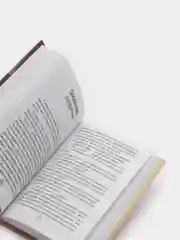 Попутчица. Рассказы о жизни, которые согревают, Ольга Савельева