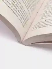 Цветы для Элджернона, Дэниел Киз