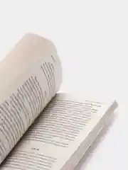 Цветы для Элджернона, Дэниел Киз