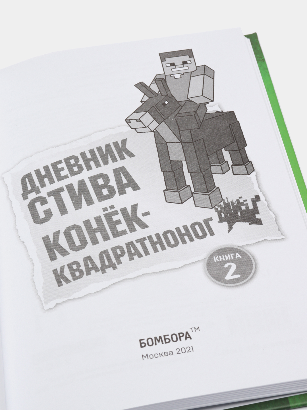 Дневник Стива 5 Книга Купить