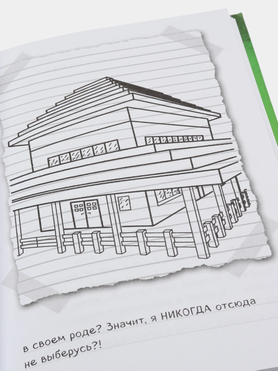 Дневник Стива. Книга 2. Конек-квадратноног,Переводчик Александр Гитлиц
