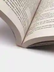 Когда меркнет свет, Лорет Энн Уайт
