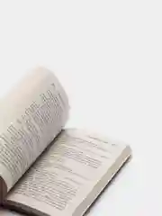 Когда меркнет свет, Лорет Энн Уайт