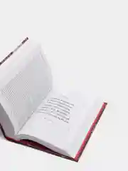 Две жизни, часть 4, Конкордия Антарова