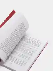 Мужчины любят стерв. Руководство для слишком хороших женщин, Аргов Шерри