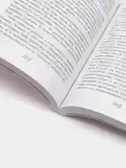 Мужчины любят стерв. Руководство для слишком хороших женщин, Аргов Шерри