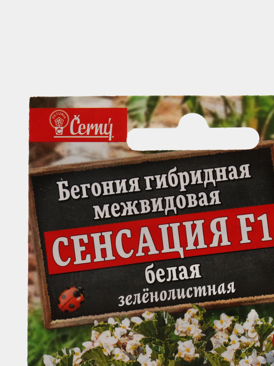 Бегония Сенсация белая (семена,цветы)