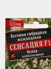 Бегония Сенсация белая (семена,цветы)