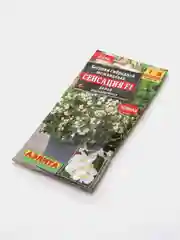 Бегония Сенсация белая (семена,цветы)