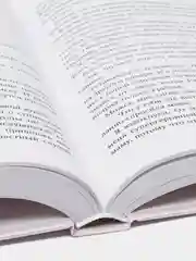 Спаси нас. Книга 3, Мона Кастен