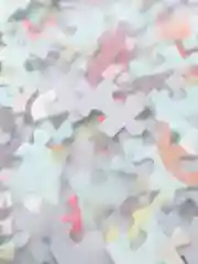 Пазл 500 деталей "Совы"