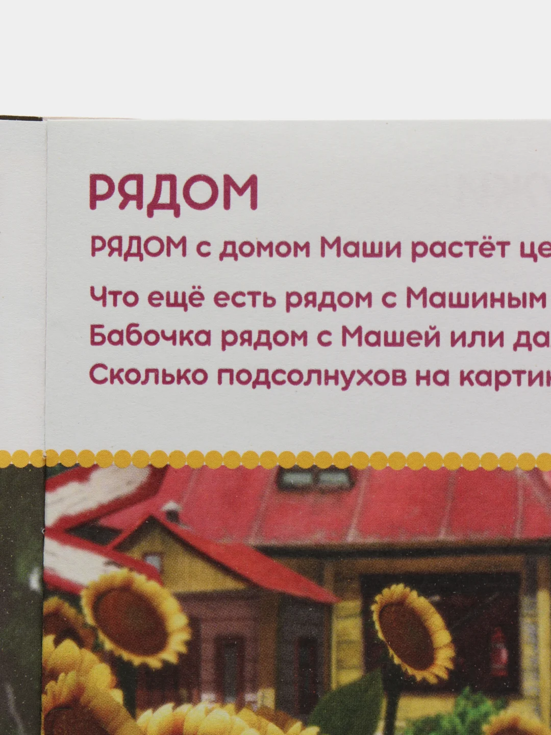Коричневый книги обучающие "Маша и Медведь"