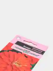 Цинния Захара огненная (семена,цветы)