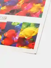 Кораллово-розовый слайдеры для дизайна ногтей