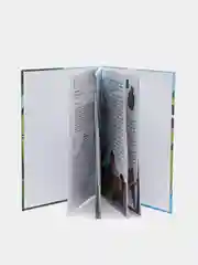 Безопасный мир: Стоп Угроза. Детская безопасность, Шарова Лия
