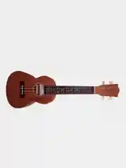 Euphony UK-23M/NS Укулеле концерт