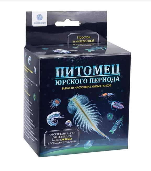 Набор для творчества и экспериментов "Питомец юрского периода"