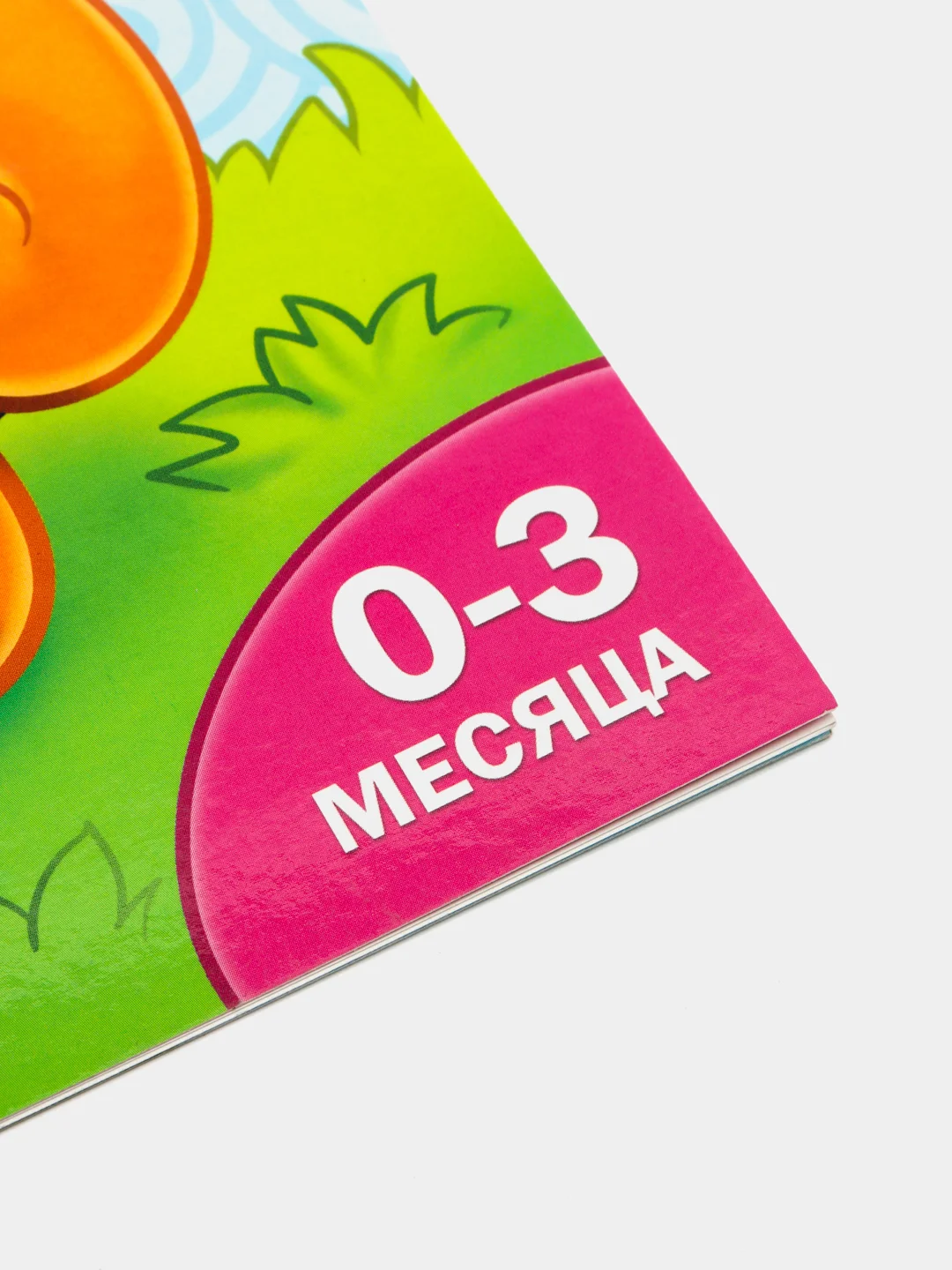 Белый книги "Школа Талантов" 0-1 год