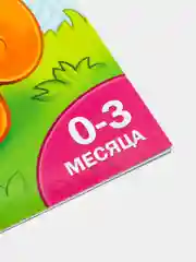 Белый книги "Школа Талантов" 0-1 год