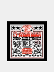 Струны для 5-ти струнного банджо Ernie Ball 2312
