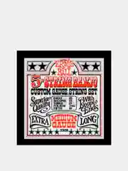 Струны для 5-ти струнного банджо Ernie Ball 2312