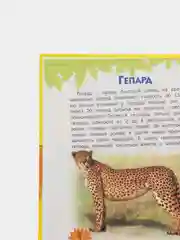 Книга для детей "Атлас животных для малышей"