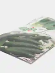 Набор семян "Огурец Феникс, 0,5 г и Огурец Феникс плюс, 0,5 г",  Семена Дуэт
