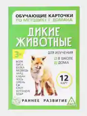 Пурпурный развивающие карточки по методике Г. Домана для детей, 12 карт, А6, 3+
