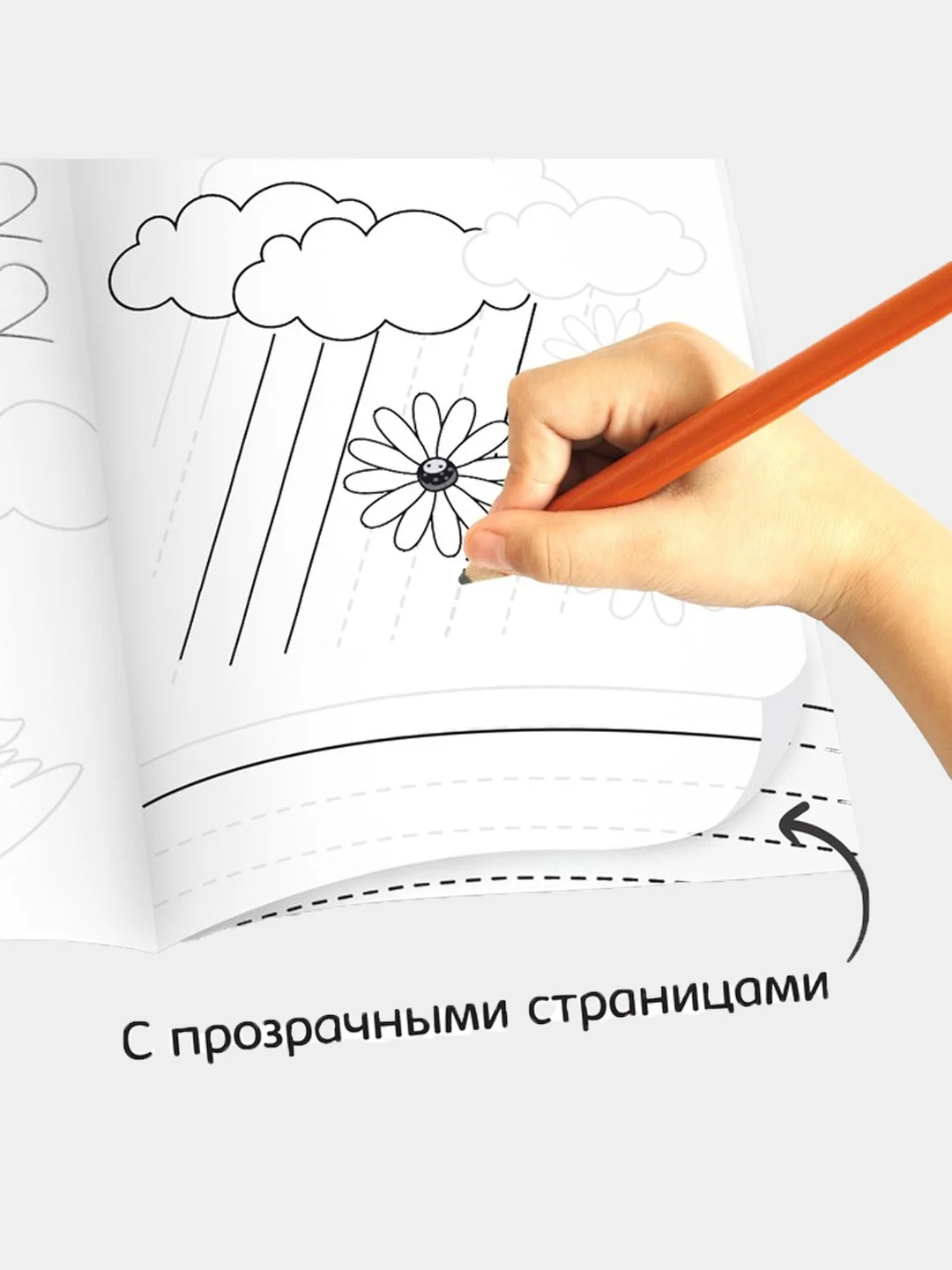 Лесной зеленый прописи с прозрачными страницами