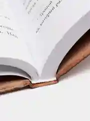 "Не открывать! Кусается!", Шарлотта Хаберзак
