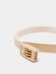 Ошейник антипаразитный