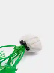Зеленый растение для аквариума