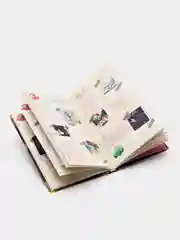 Гравити Фолз. Дневник Диппера и Мэйбл. Тайны, приколы и веселье нон-стоп, Хромова Анна