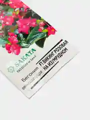 Бегония "Викинг розовая на изумрудном" семена цветов